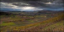 november an der mosel - img_2293_4_5.jpg